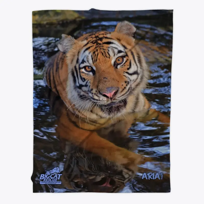 Picture Purrfect Aria Tiger